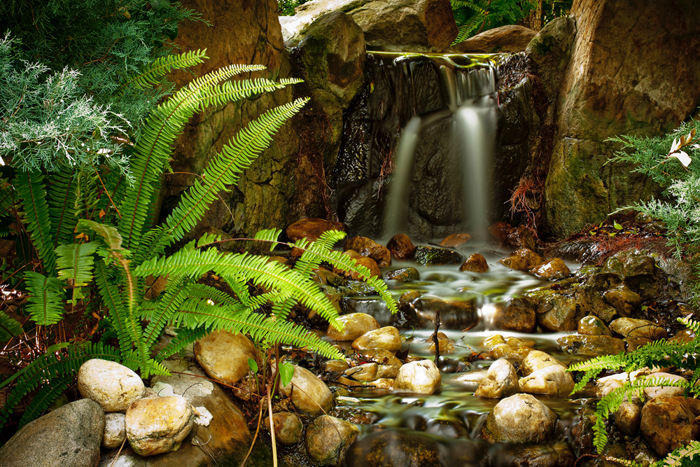 Showing green ferns and rocks with a water feature and water spilling out 2 holes from the stump shaped and brown colored water feature.